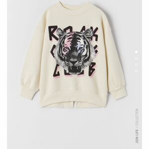 🎉1 hr sale 🎉Zara sweater
